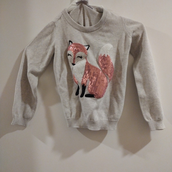 The Children's Place Other - The children's place sweater 5t